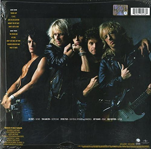 AEROSMITH-Pump-Vinyl LP-Brand New/Still sealed_LAS0124136