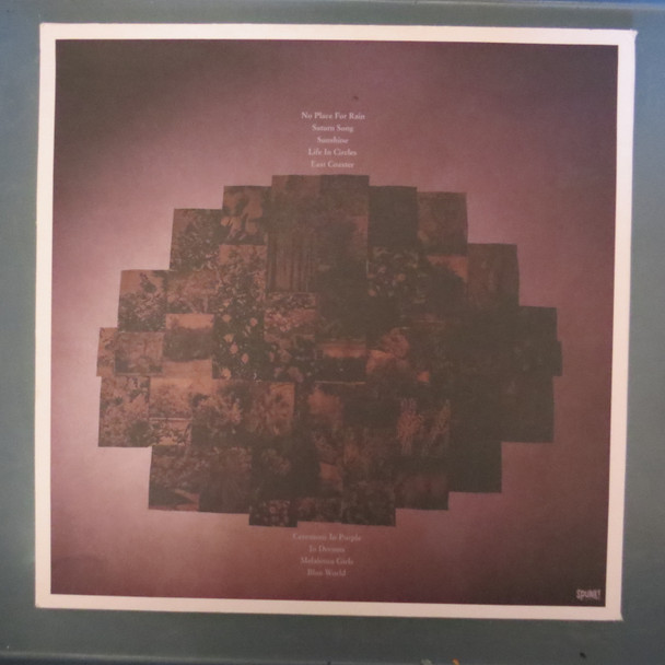 Jordan Ireland With Purple Orchestra-Jordan Ireland With Purple Orchestra-VINYL LP-USED-SHLP_4629