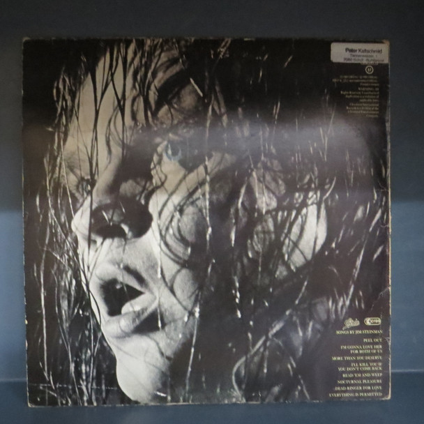 Meat Loaf-Dead Ringer-VINYL LP-USED-SHLPDI150524_5391