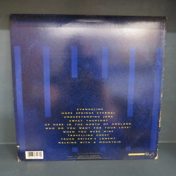 The Icicle Works-If You Want To Defeat Your Enemy Sing His Song-VINYL LP-USED-DILP210125_6440