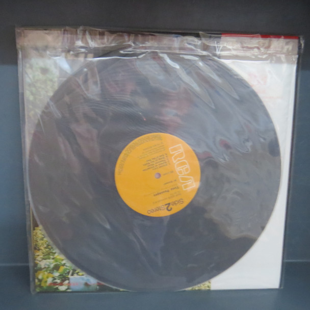 Al Stewart-Time Passages (japan issue)-VINYL LP-USED-SHLP270225_6722