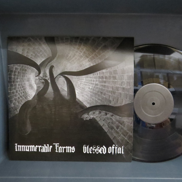 Innumerable Forms / Blessed Offal-Innumerable Forms / Blessed Offal-VINYL LP-USED-SHLP170425_7907