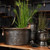 Antique pewter coal bucket displayed in a showroom alongside a smaller matching bucket, a large hammered pot and ornamental grasses