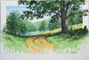 Luke Buck painting