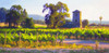 Vineyard Tankhouse, June Carey  MASTERWORK CANVAS EDITION