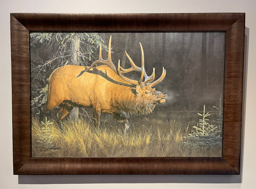 Deer Hide Stretched on Sapling Frame to Be Scraped and Tanned, Heritage  Hill, Green Bay, Wisconsin' Giclee Print