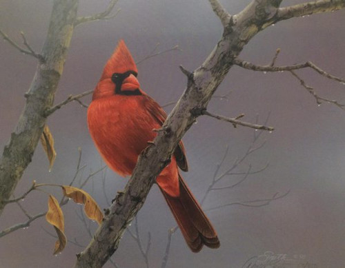 Cardinal painting by Daniel Smith