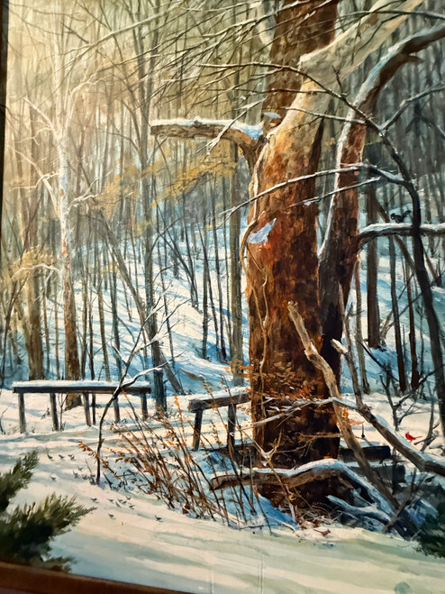 Big Ole Sycamore by Luke Buck 20x35 Original
