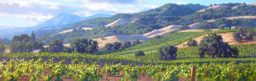 Song of the Wine Country, June Carey  LIMITED EDITION CANVAS
