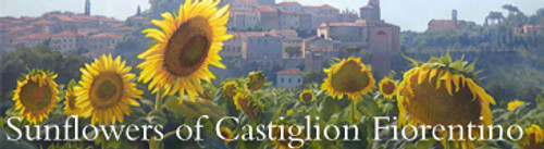 Sunflowers of Castiglion Fiorentino, June Carey promo Sunflowers of Castiglion Fiorentino, June Carey promo