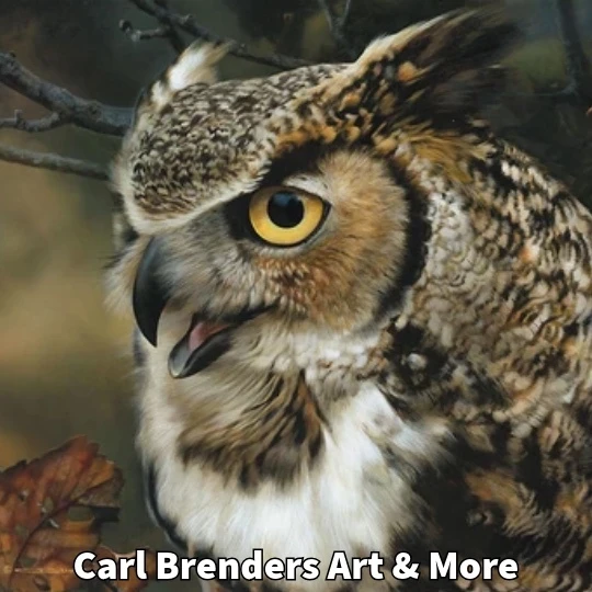 Paintings of owls, song birds, ducks and eagles