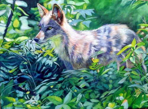 Coyote by Kelly McNeil - Original Painting - Ashley's Art Gallery