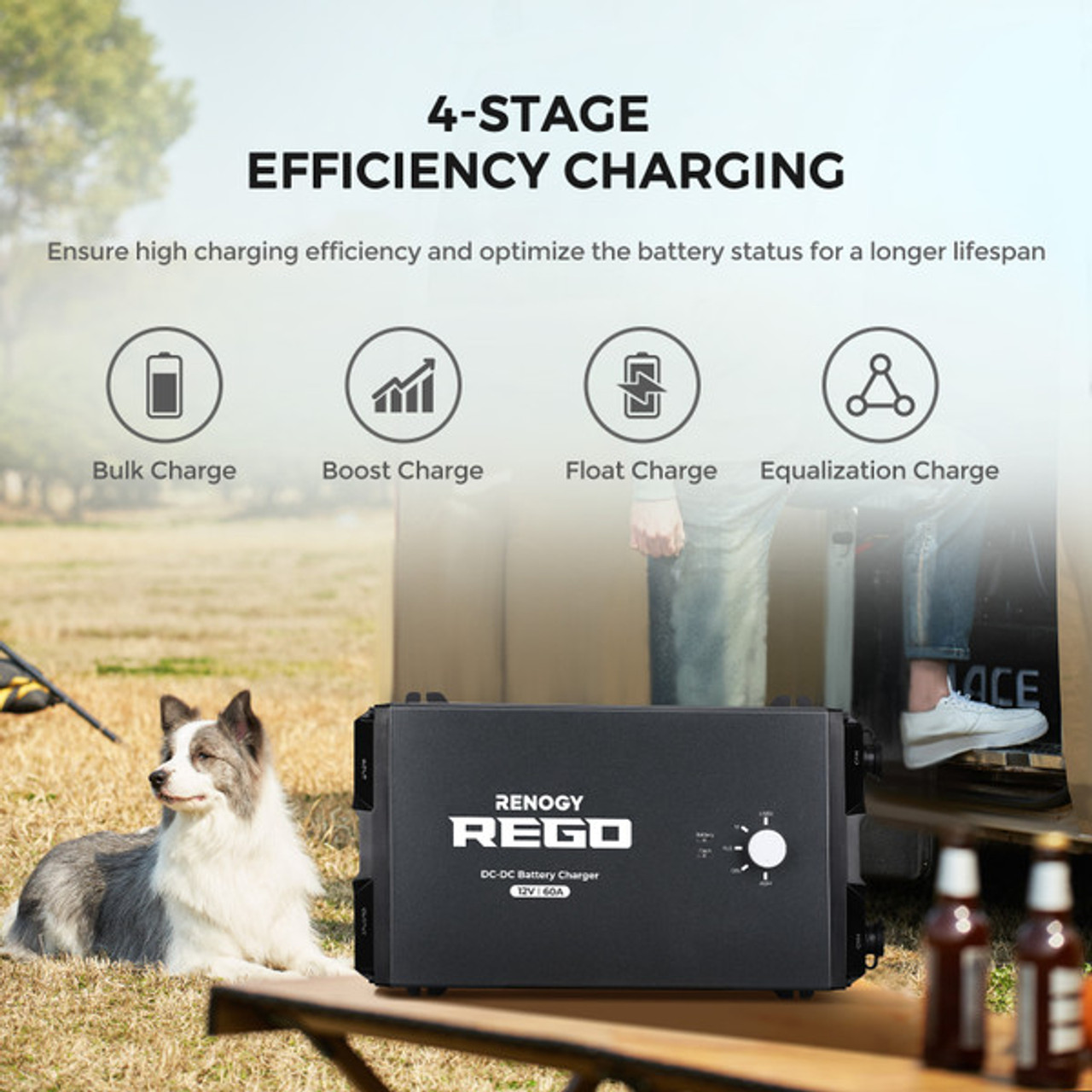 Renogy REGO 12V 60A  DC to DC Battery Charger - Bidirectional Charging - Bluetooth