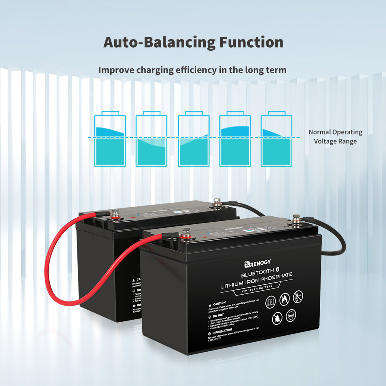 Renogy 12V 100Ah Lithium Iron Phosphate (LiFePo4) Battery with Bluetooth | 2000 Cycles