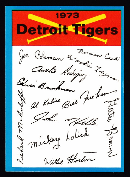 1973 Topps Detroit Tigers Blue Border Unmarked Checklist 1 Star on Back EX