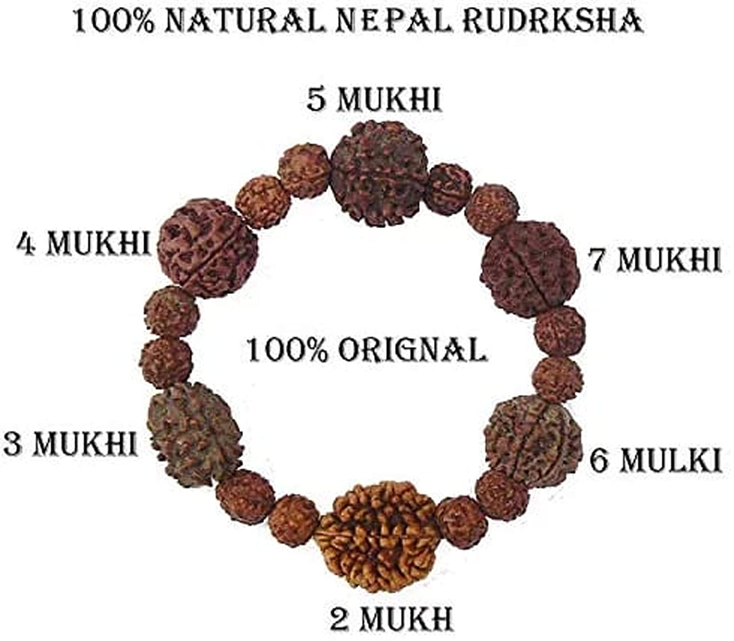 4 Mukhi Rudraksha Original |4 Mukhi Rudraksha price|4 Mukhi Rudraksha  Benefits – Hare krishna Mart