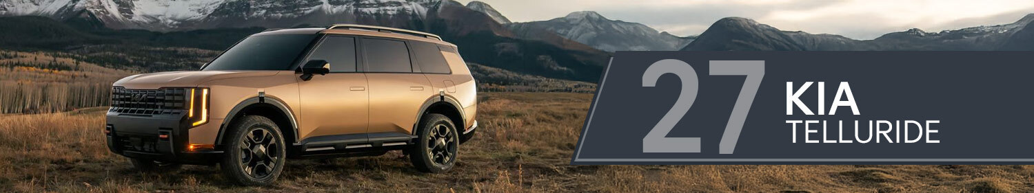 2027 Kia Telluride Cargo Accessories