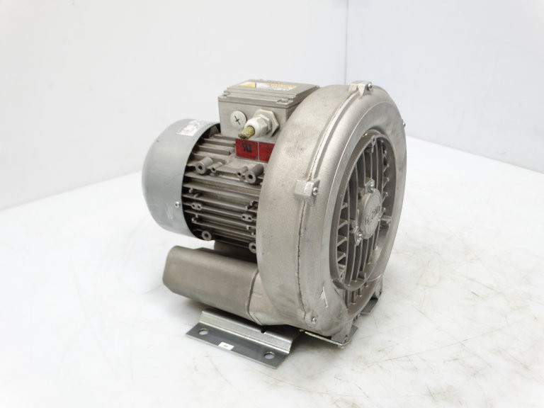 384319__1__93161.1716416615.