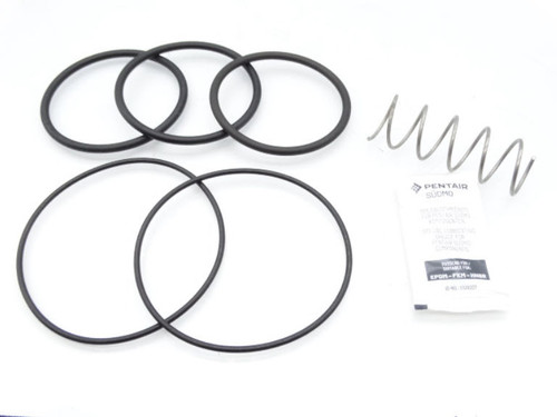 PENTAIR 2148457   Spare Parts Kit