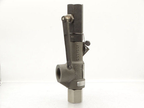 CONSOLIDATED 19096L-2-CC-MS-31-FT-FT-GS Valve