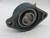 AMI BEARINGS UCFT208-24 BEARING