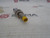 TURCK NI4U-EG08-AN6X-H1341 SENSOR