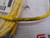 MOLEX 805000A09M020 CABLE