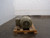 GENERAL ELECTRIC 5KS365SAA1055F2 MOTOR