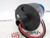 STARBRIGHT 35-917PB INDICATOR LIGHT