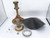 WATTS RK 909 VT 4-6 SPARE PARTS KIT