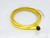 ALLEN BRADLEY 889B-R4AC-2 SERIES A CABLE