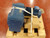 SEW EURODRIVE DRE132MC4 W/ FT97/GDRE132MC4 MOTOR