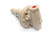 CASHCO 1000HP 1/2" VALVE
