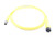 ALLEN BRADLEY 889D-F4HBP3M-1 CABLE