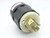 LEVITON 7411-C Plug