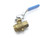 Uploaded by Surplus Photo Processing Script