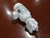 Uploaded by Surplus Photo Processing Script