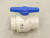 SPEARS 2621-040 Valve (127225164 - Used)
