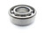 SCHAEFFLER GROUP 6205-C3 Bearing (127808206 - New in Box)