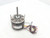 DAYTON 3LU74BG Motor