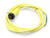 ALLEN BRADLEY 889N-F3AEC-6F Cable