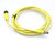 ALLEN BRADLEY 889D-F4ABP3M-2 Cable