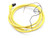 ALLEN BRADLEY 889D-E4AE-2 Cable