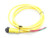 ALLEN BRADLEY 889N-F3HJA-6F Cable