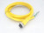 ALLEN BRADLEY 889NS-U3AFC-6F Cable