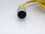TURCK RK 4.43T-5 Cable
