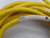 TURCK RK 4.43T-5 Cable