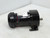 DAYTON 2Z843 Motor