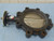 NIBCO LD3010 BUTTERFLY VALVE 250 PSI (34945 - USED)