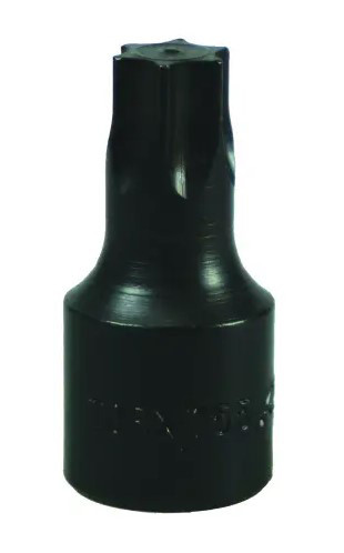 TORX DRIVE BIT-T55